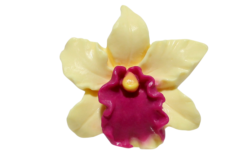 SBT-024f Orchid